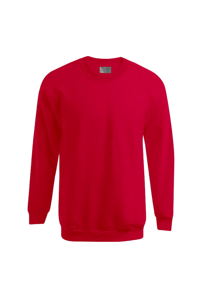 Herren Pullover Promodoro Sweater 100 5099